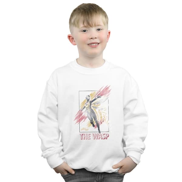 Marvel Boys Ant-Man And The Wasp Framed Wasp Sweatshirt