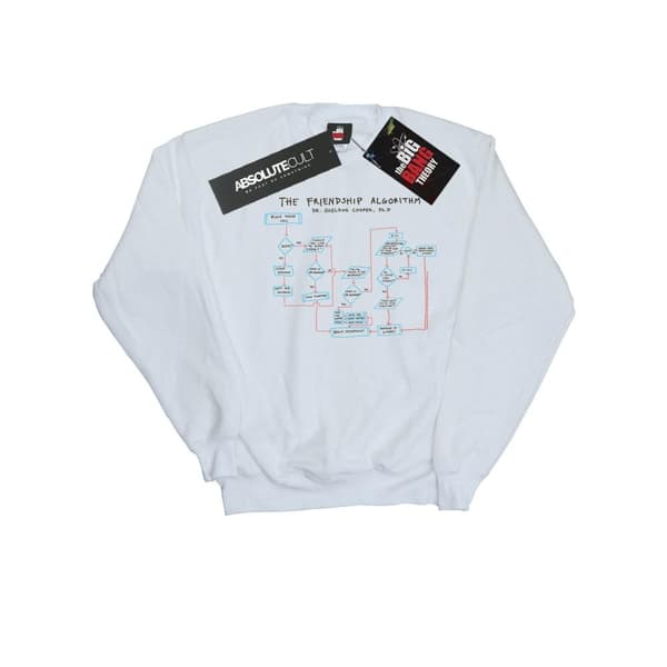 The Big Bang Theory Mens Friendship Algorithm Sweatshirt