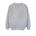 Miniatyrbillede 1 af 3: Disney Boys Alice In Wonderland White Rabbit Sweatshirt