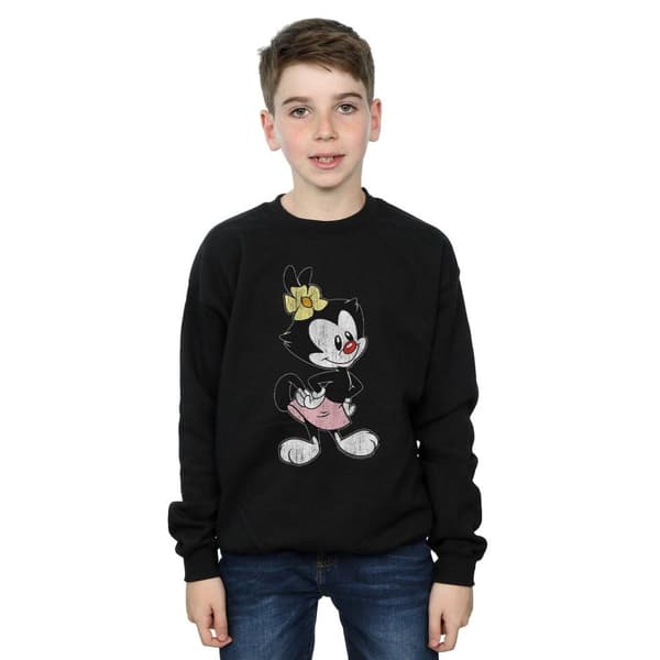 Animaniacs Boys Dot Classic Pose Sweatshirt