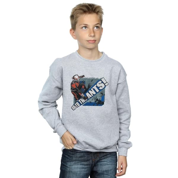 Marvel Pojkar Ant-Man Go To The Ants Sweatshirt