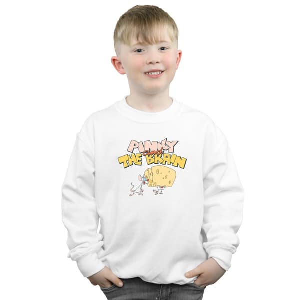 Animaniacs Boys Pinky And The Brain Cheese Head Sweatshirt