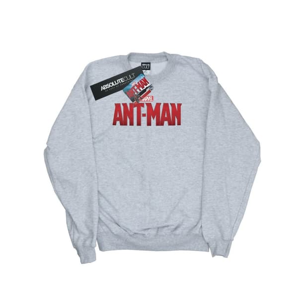 Marvel Boys Ant-Man Movie Logo Sweatshirt