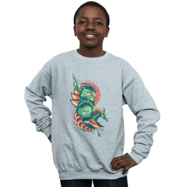 DC Comics Pojkar Aquaman Xebel Crest Sweatshirt