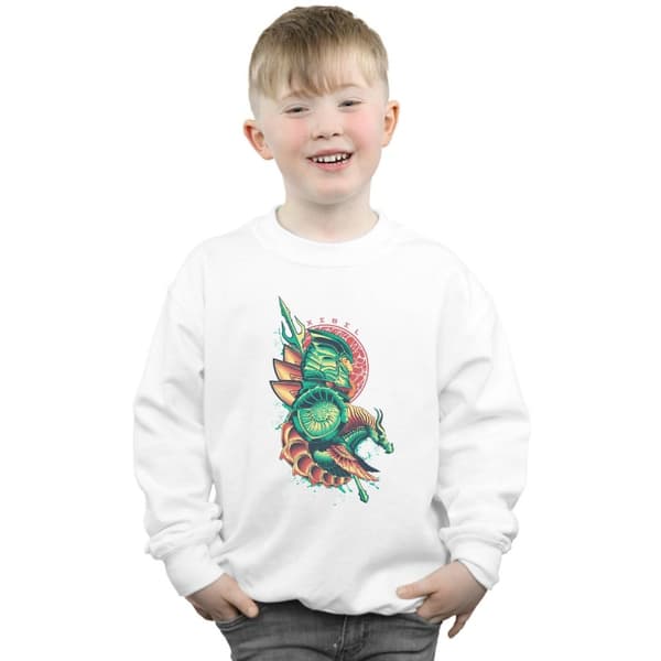 DC Comics Pojkar Aquaman Xebel Crest Sweatshirt