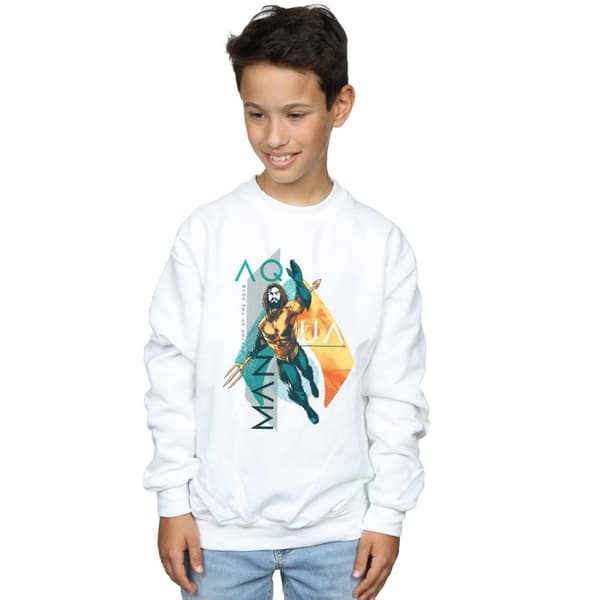 DC Comics Pojkar Aquaman Tropical Icon Sweatshirt
