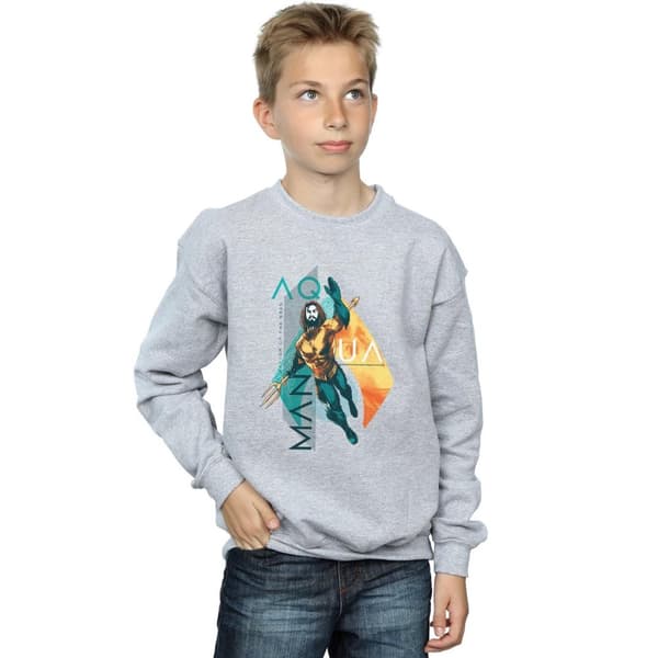 DC Comics Pojkar Aquaman Tropical Icon Sweatshirt