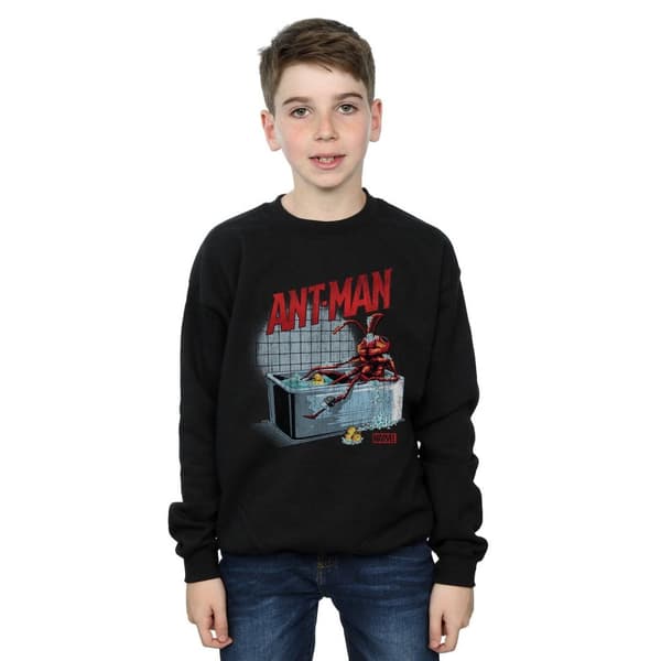 Marvel Boys Ant-Man And The Wasp Bathing Ant Sweatshirt