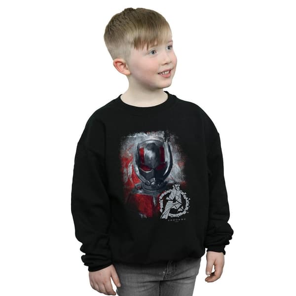 Marvel Pojkar Avengers Endgame Ant-Man Borstad Sweatshirt