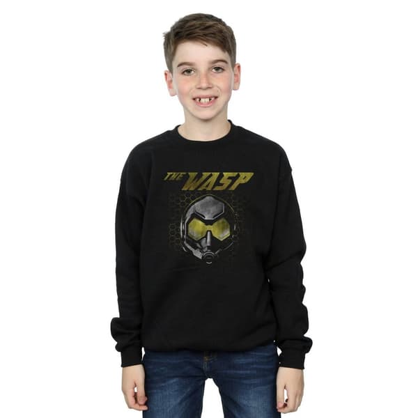 Marvel Pojkar Ant-Man And The Wasp Hope Mask Hexagon Sweatshirt