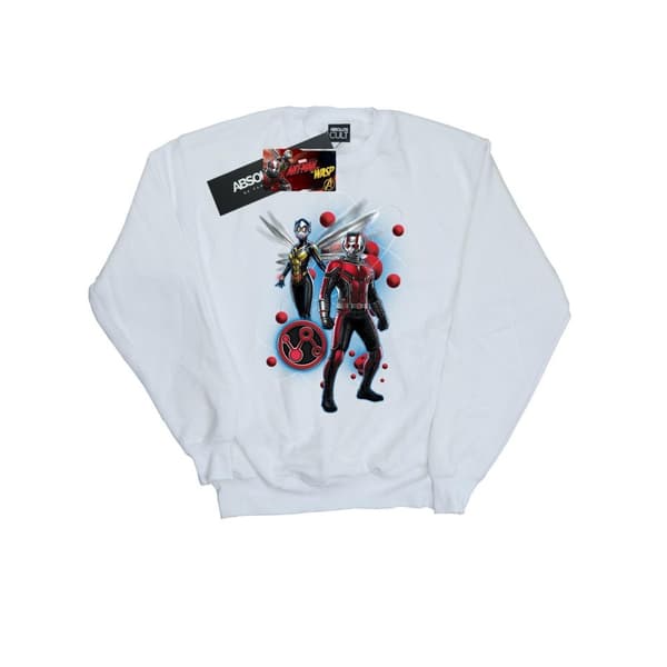 Marvel Boys Ant-Man And The Wasp Particle Pose Sweatshirt