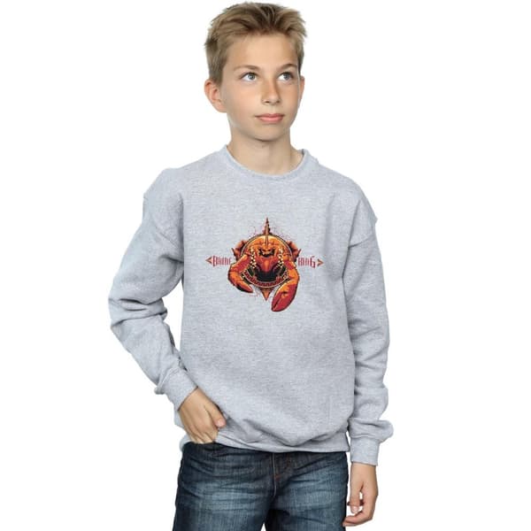 DC Comics Boys Aquaman Brine King Sweatshirt