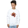Miniatyrbilde 2 av 3: DC Comics Boys Aquaman Brine King Sweatshirt