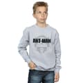Miniatyrbillede 2 af 5: Marvel Boys Ant-Man Helmet Fade Sweatshirt