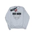 Miniatyrbillede 1 af 5: Marvel Boys Ant-Man Helmet Fade Sweatshirt