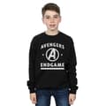 Miniatyrbillede 2 af 3: Marvel Boys Avengers Endgame Varsity Sweatshirt