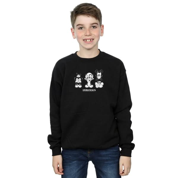 Animaniacs Boys Three Evils Sweatshirt