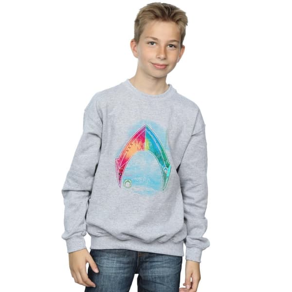 DC Comics Boys Aquaman Mera Logo Sweatshirt