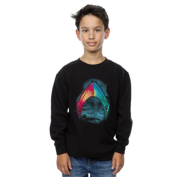 DC Comics Boys Aquaman Mera Logo Sweatshirt