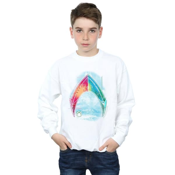 DC Comics Boys Aquaman Mera Logo Sweatshirt