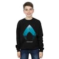 Miniatyrbild 2 av 3: DC Comics Pojkar Aquaman Ocean Logo Sweatshirt