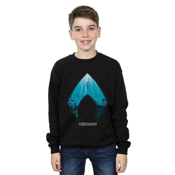 DC Comics Boys Aquaman Ocean Logo Sweatshirt