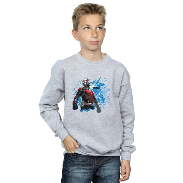Marvel Boys Ant-Man Standing Sweatshirt