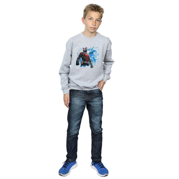 Marvel Boys Ant-Man Standing Sweatshirt