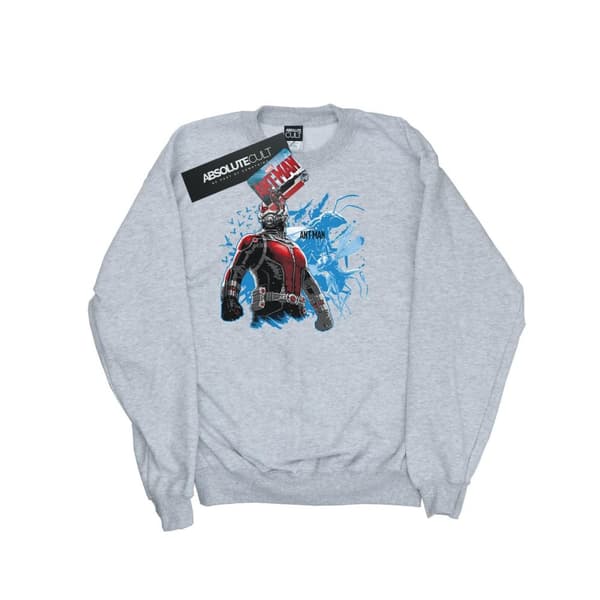 Marvel Boys Ant-Man Standing Sweatshirt