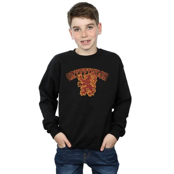 Harry Potter Gryffindor Sport Emblem Sweatshirt för pojkar