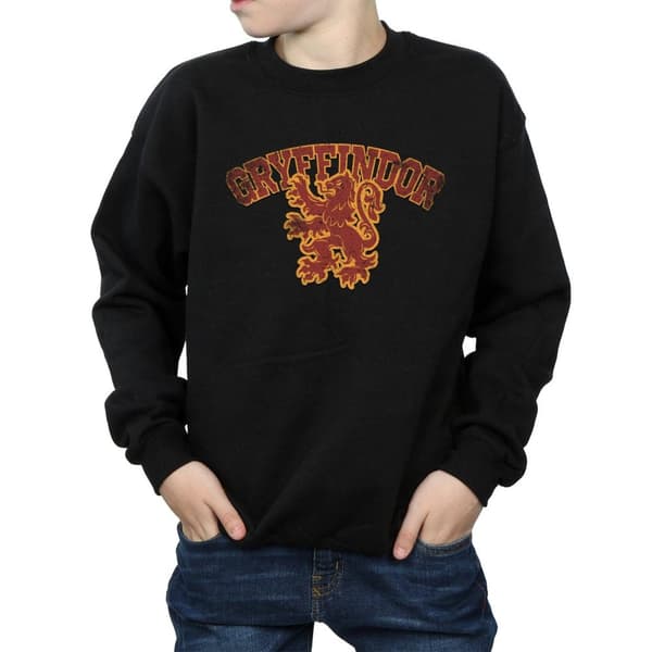 Harry Potter Gryffindor Sport Emblem Sweatshirt för pojkar