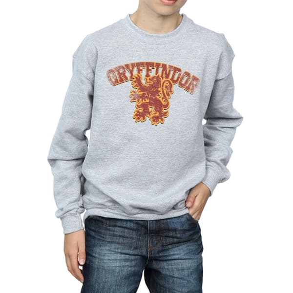 Harry Potter Gryffindor Sport Emblem Sweatshirt för pojkar