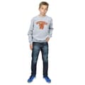 Miniatyrbild 4 av 5: Harry Potter Gryffindor Sport Emblem Sweatshirt för pojkar