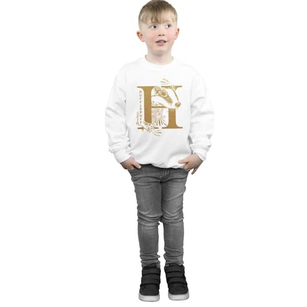 Harry Potter Hufflepuff Glitter Sweatshirt för pojkar