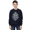 Miniatyrbilde 2 av 5: Harry Potter Boys Hogwarts Draco Dormiens Crest Sweatshirt