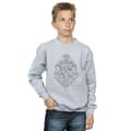 Miniatyrbilde 2 av 5: Harry Potter Boys Hogwarts Draco Dormiens Crest Sweatshirt