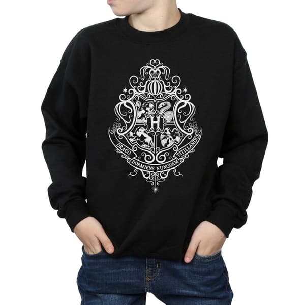 Harry Potter Boys Hogwarts Draco Dormiens Crest Sweatshirt