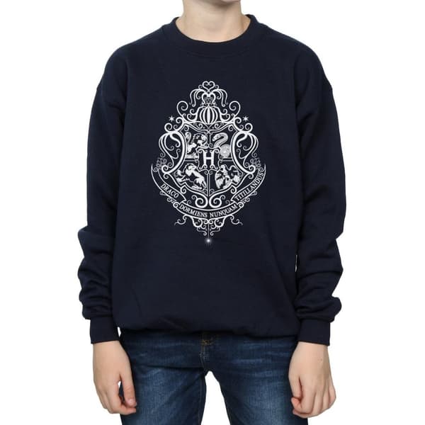Harry Potter Boys Hogwarts Draco Dormiens Crest Sweatshirt