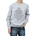 Miniatyrbilde 3 av 5: Harry Potter Boys Hogwarts Draco Dormiens Crest Sweatshirt