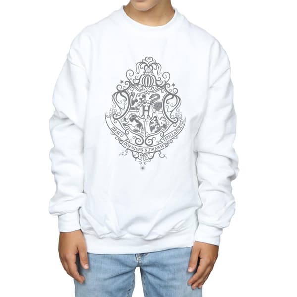 Harry Potter Boys Hogwarts Draco Dormiens Crest Sweatshirt