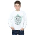 Miniatyrbild 2 av 3: Harry Potter Pojkar Slytherin Serpent Crest Sweatshirt