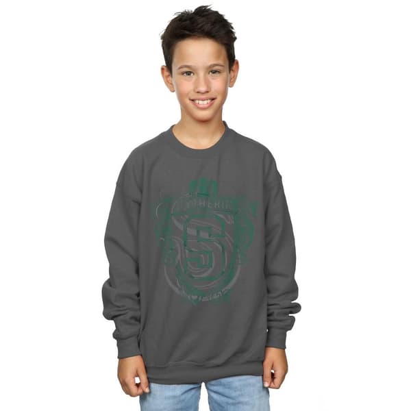 Harry Potter Boys Slytherin Serpent Crest Sweatshirt