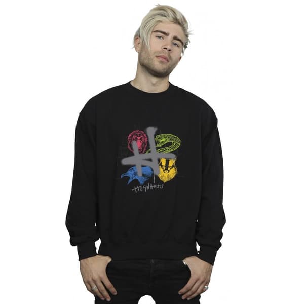 Harry Potter Mens Emblems H Spray Sweatshirt