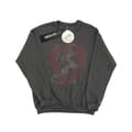 Miniatyrbillede 1 af 3: Harry Potter Girls Gryffindor Lion Crest Sweatshirt