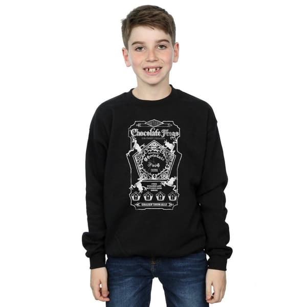 Harry Potter Boys Chocolate Frogs Mono Label Sweatshirt