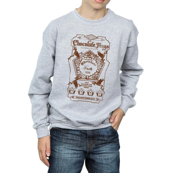 Harry Potter Boys Chocolate Frogs Mono Label Sweatshirt