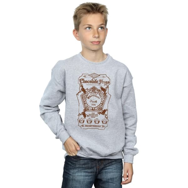 Harry Potter Boys Chocolate Frogs Mono Label Sweatshirt