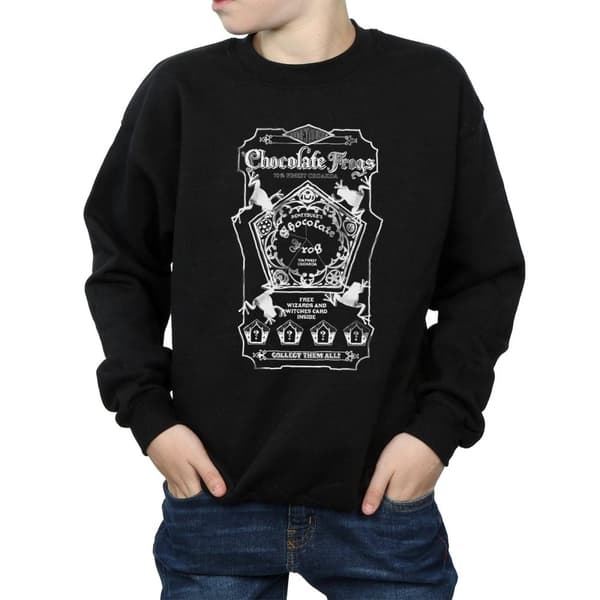 Harry Potter Boys Chocolate Frogs Mono Label Sweatshirt