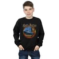 Miniatyrbild 2 av 3: Harry Potter Pojkar - Sweatshirt med flygande bil