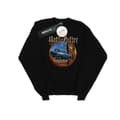 Miniatyrbild 1 av 3: Harry Potter Pojkar - Sweatshirt med flygande bil